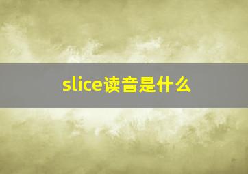 slice读音是什么