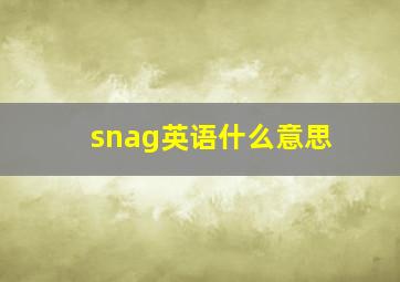 snag英语什么意思