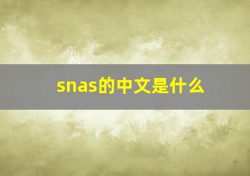 snas的中文是什么