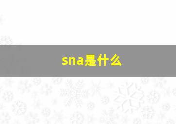 sna是什么