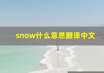 snow什么意思翻译中文