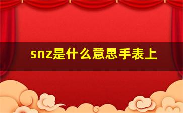 snz是什么意思手表上