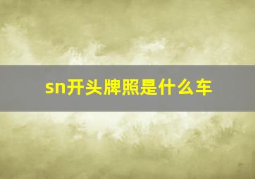 sn开头牌照是什么车