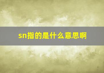 sn指的是什么意思啊