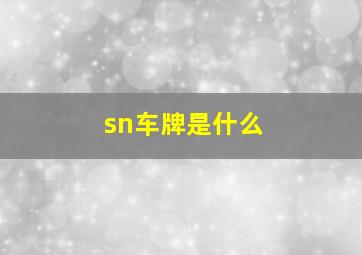 sn车牌是什么