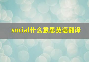 social什么意思英语翻译