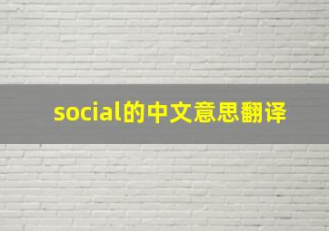 social的中文意思翻译