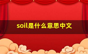 soil是什么意思中文