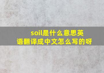 soil是什么意思英语翻译成中文怎么写的呀