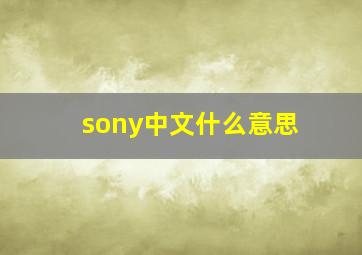 sony中文什么意思