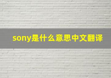 sony是什么意思中文翻译