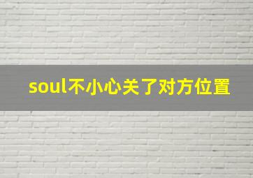 soul不小心关了对方位置