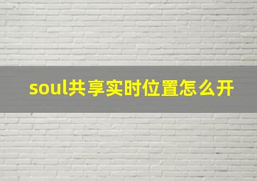 soul共享实时位置怎么开