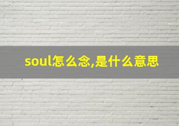 soul怎么念,是什么意思