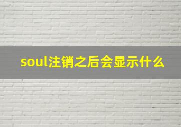 soul注销之后会显示什么