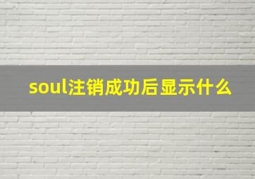 soul注销成功后显示什么