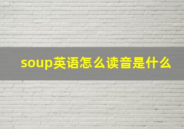 soup英语怎么读音是什么