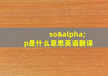 soαp是什么意思英语翻译