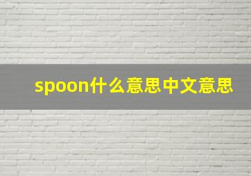 spoon什么意思中文意思