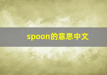 spoon的意思中文