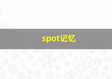 spot记忆