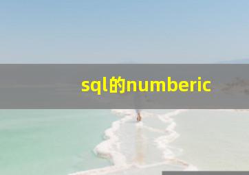 sql的numberic