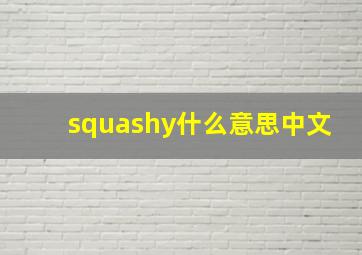 squashy什么意思中文