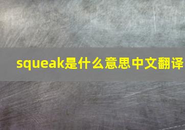 squeak是什么意思中文翻译