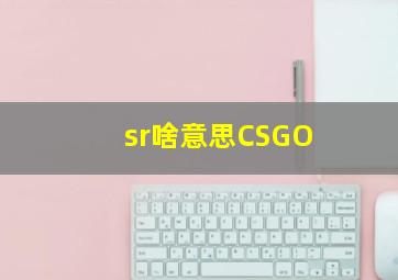 sr啥意思CSGO