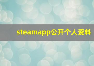 steamapp公开个人资料