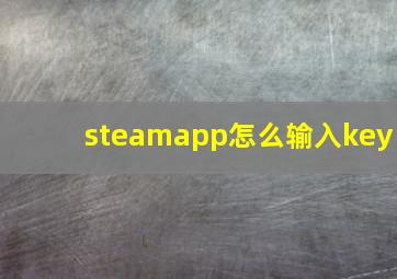 steamapp怎么输入key