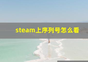 steam上序列号怎么看