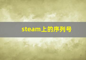 steam上的序列号