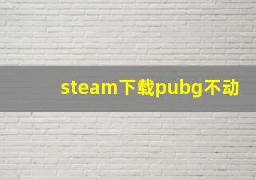 steam下载pubg不动