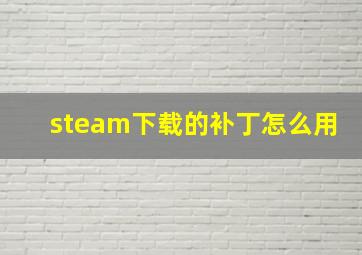 steam下载的补丁怎么用