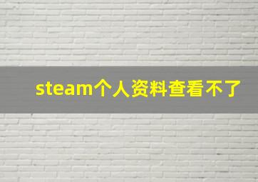 steam个人资料查看不了