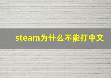 steam为什么不能打中文