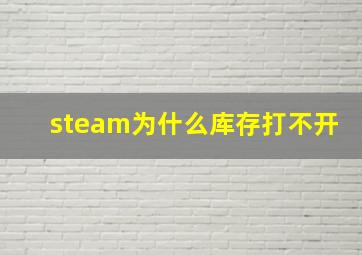 steam为什么库存打不开