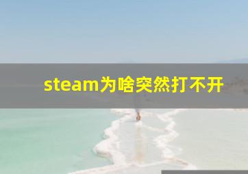 steam为啥突然打不开