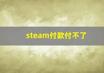 steam付款付不了