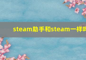 steam助手和steam一样吗