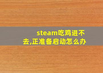 steam吃鸡进不去,正准备启动怎么办