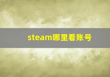 steam哪里看账号