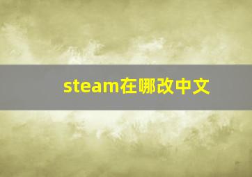 steam在哪改中文