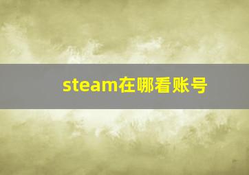 steam在哪看账号