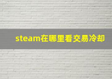 steam在哪里看交易冷却