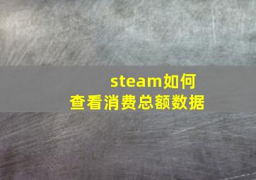 steam如何查看消费总额数据