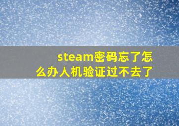 steam密码忘了怎么办人机验证过不去了