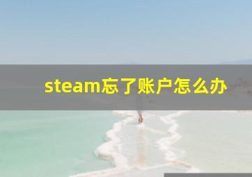 steam忘了账户怎么办