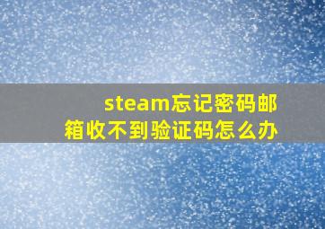 steam忘记密码邮箱收不到验证码怎么办